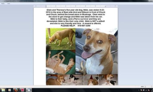 Paws Promoting Animal Welfare