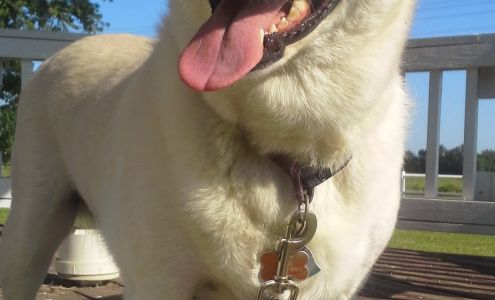 Sunny Acres Boarding Kennel
