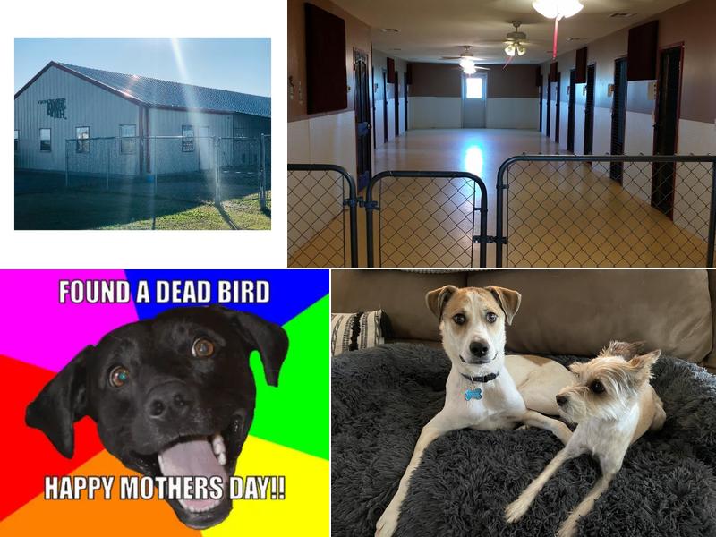 GracieLand Pet Resort