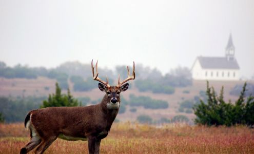 Mud Creek Deer and Wild Game Processing