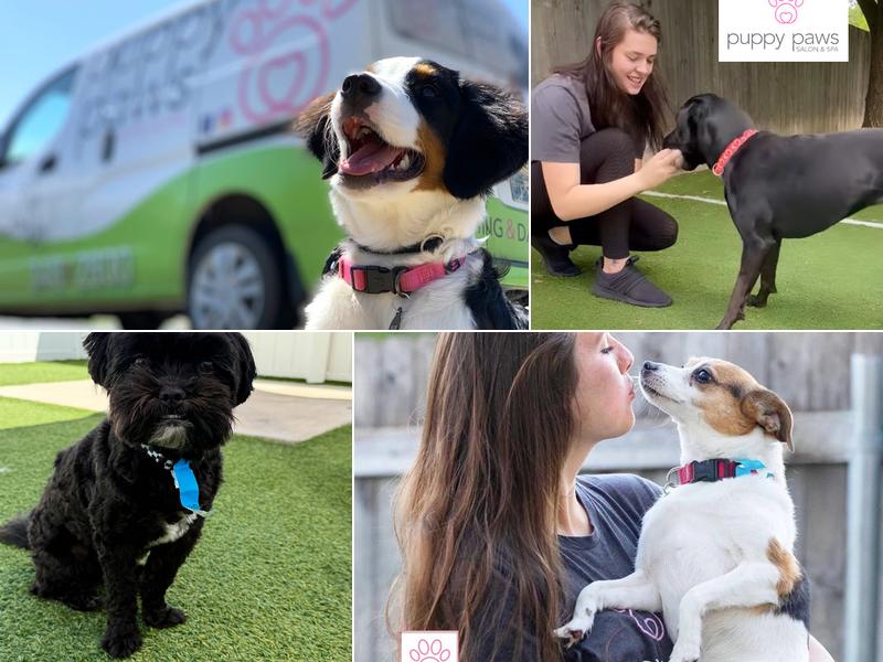 Puppy Paws Hotel & Spa