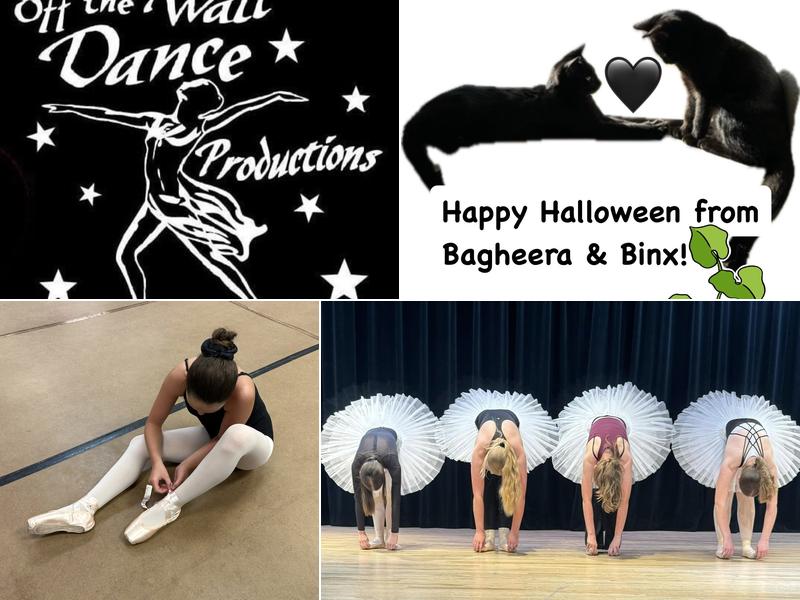 OFF THE WALL DANCE PRODUCTIONS