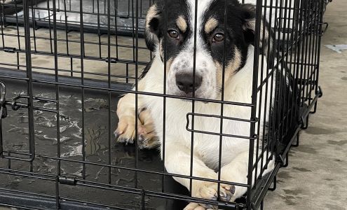 Okmulgee Humane Society