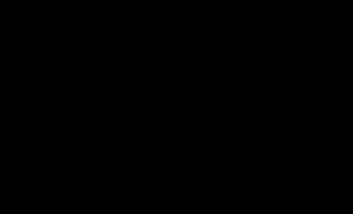 Hudson Technology Solutions Inc.