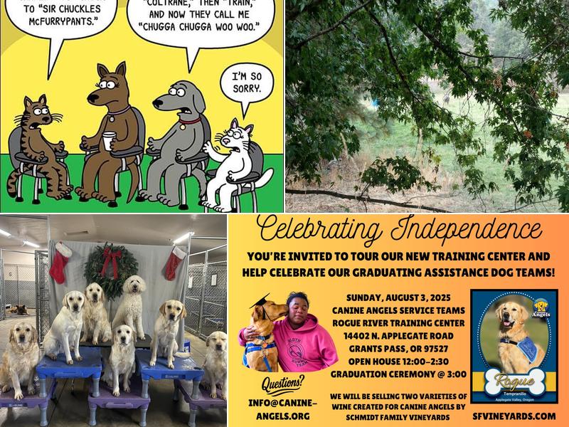 Canine Angels Services Teams