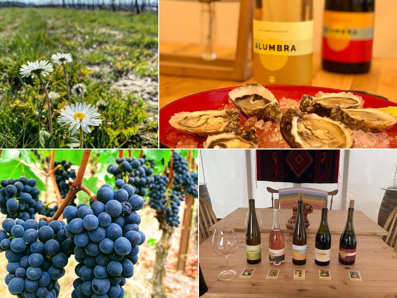 Alumbra Cellars, Inc.