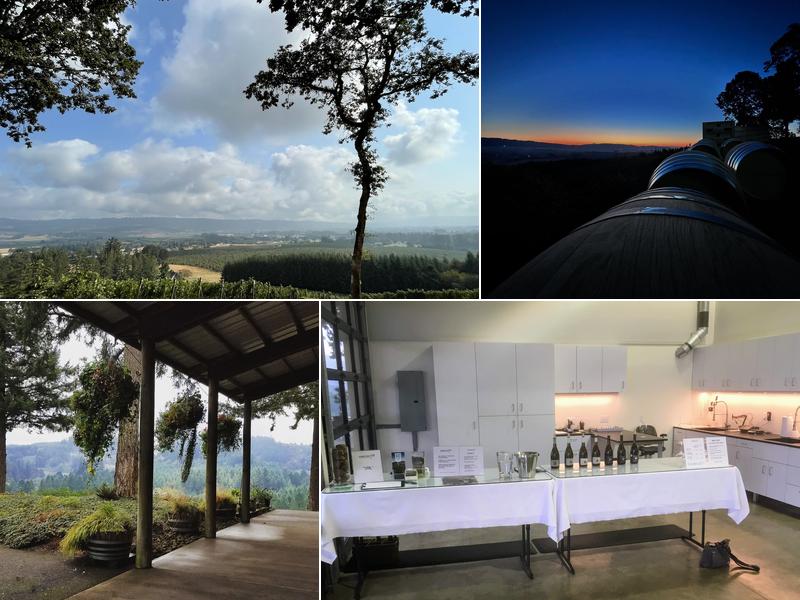 Anderson Family Vineyard