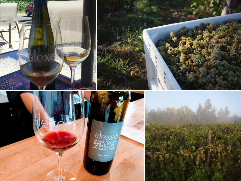 Alexeli Vineyard + Winery 35803 S, OR-213, Molalla