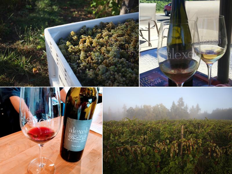 Alexeli Vineyard + Winery