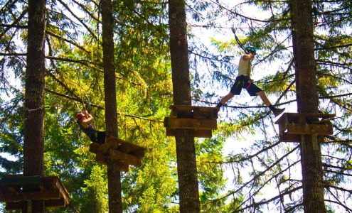Tree to Tree Adventure Park Gaston
