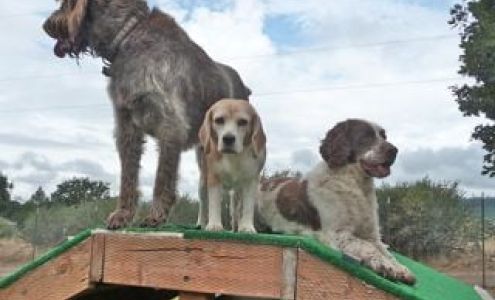 All Good Dogs Pet Resort 15222 Antioch Rd, White City Oregon 97503