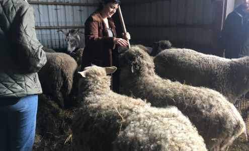 Lighthouse Farm Sanctuary Scio