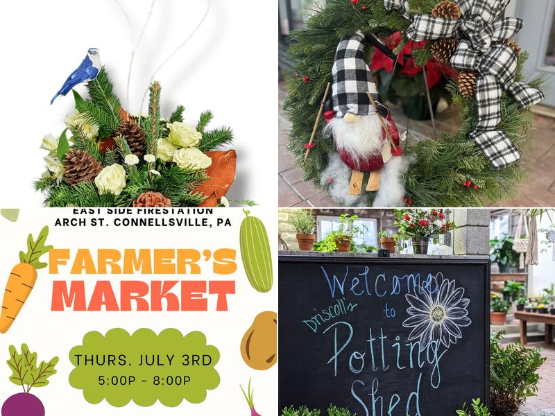 Driscoll's Potting Shed