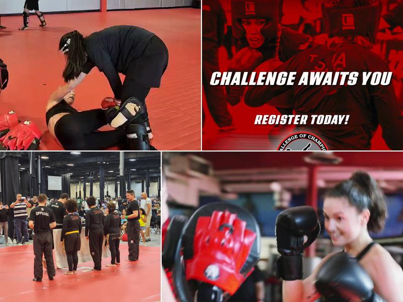 Tiger Schulmann's Martial Arts (Colmar, PA)