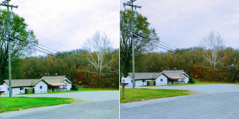 Paw-Ticular Boarding Kennel
