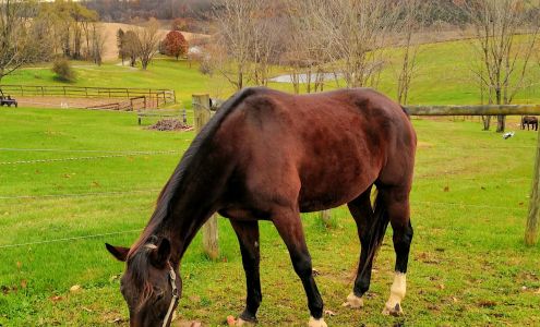 Kane Horsemanship 165 Sprowls Rd, Bentleyville Pennsylvania 15314