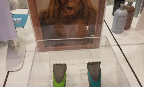 Groom & Room By Donna