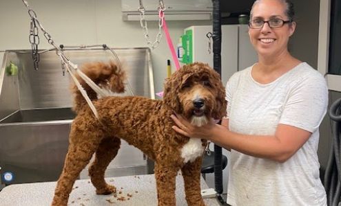 Cindy's Canine Companions Salon & Services 12 Chestnut St, Bethel Pennsylvania 19507