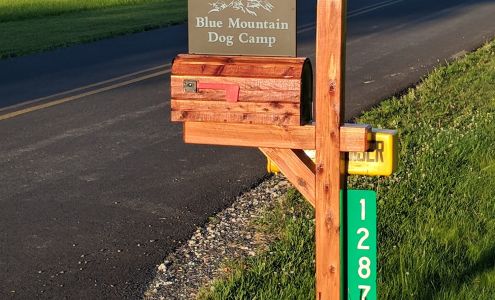 Blue Mountain Dog Camp 1287 Schubert Rd, Bethel Pennsylvania 19507