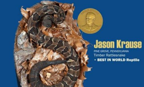 Krause's Taxidermy Studio Pine Grove