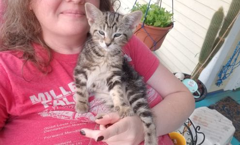 Lawrence County Humane Society