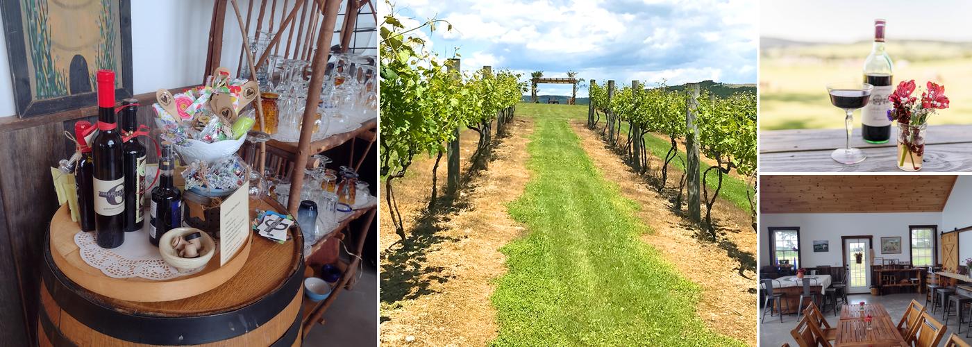 Gellella Terra Vineyard