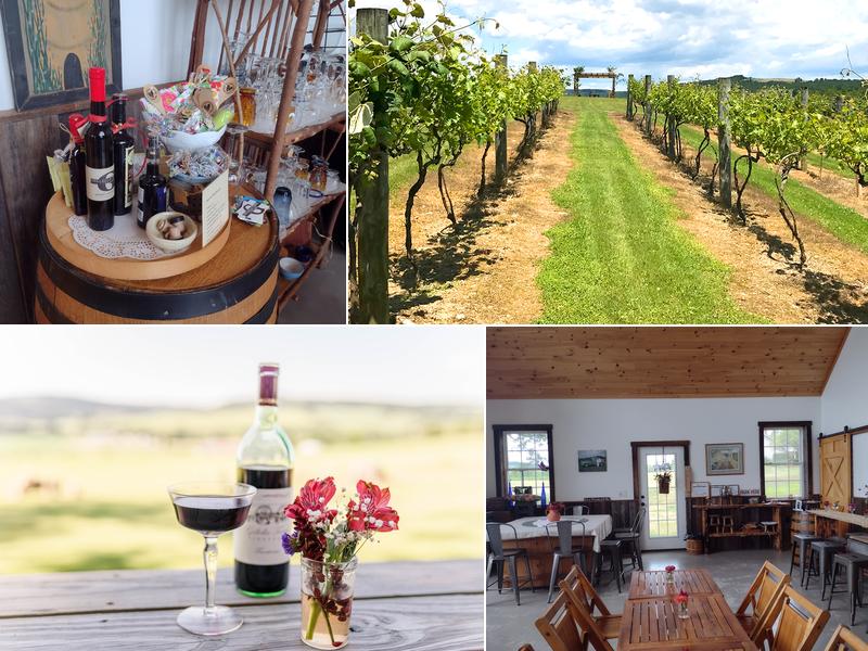 Gellella Terra Vineyard