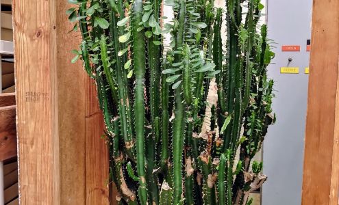 Lessie's Garden Greenhouse & Gift Shop