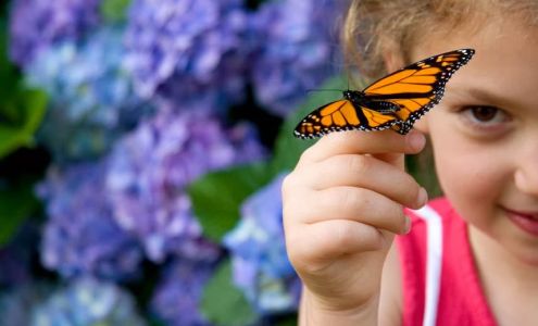 Lifesteps Central Office & Program Center