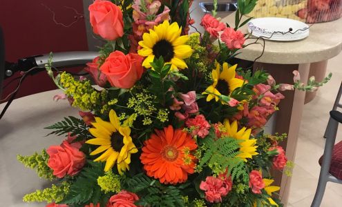 TLC Florals 3672 Ridgway St Marys Rd, Ridgway Pennsylvania 15853