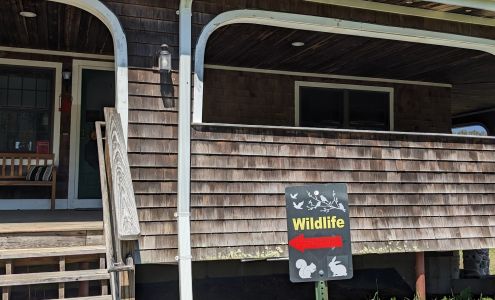 Wildlife Rehabilitators Association of Rhode Island Saunderstown