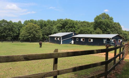 Cat Jumped Over the Moon Farm Chesnee