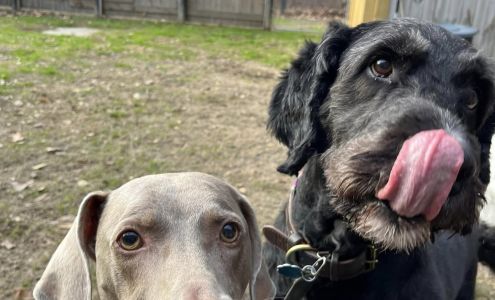 Wyatt's Bed & Biscuit