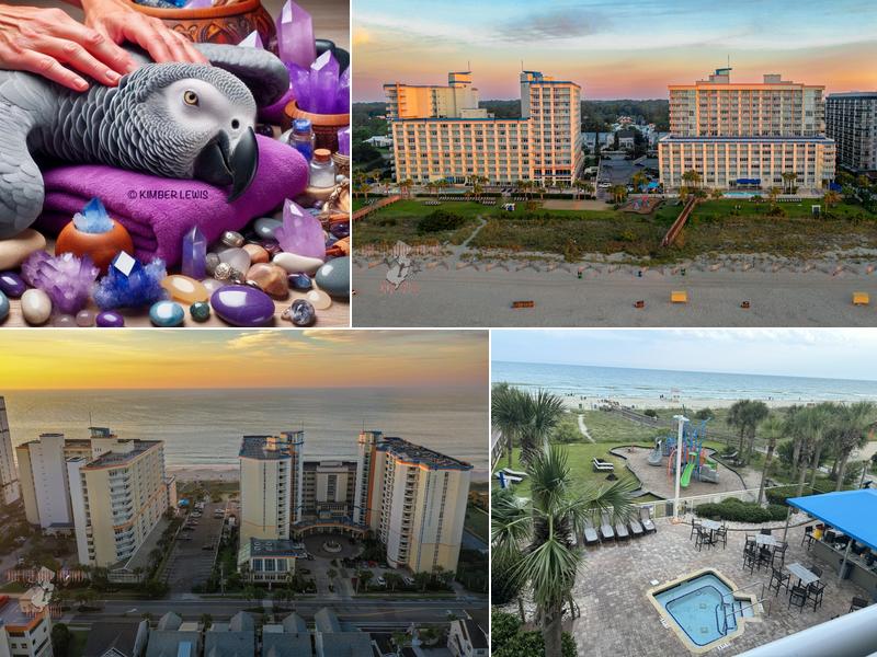 Lost In Serenity Spa