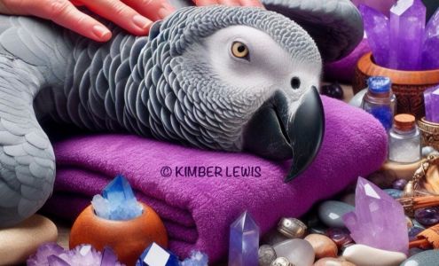 Lost In Serenity Spa Palms Tower Dunes Village Resort, 5200 N Ocean Blvd 2nd Floor, Myrtle Beach South Carolina 29577