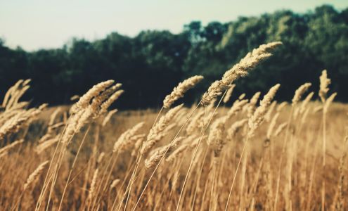 Whitefield Baptist Church