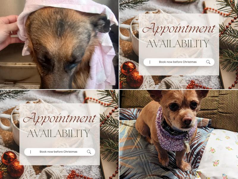 Vanity Fur Self Serve Pet Wash