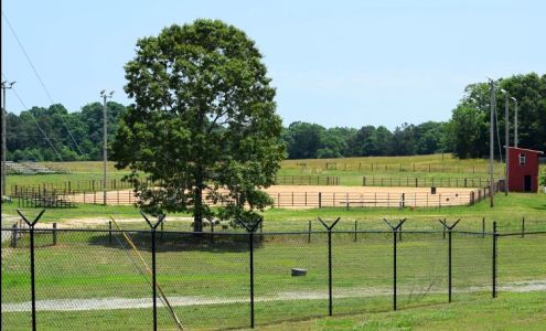 Thomason Bowie Foundation Iva