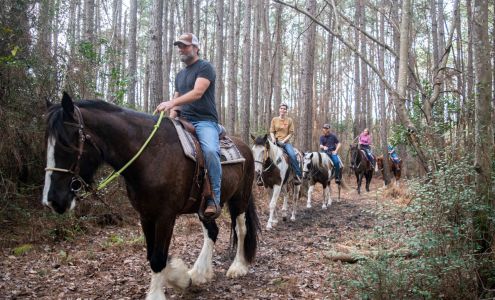 Grand Strand Horseback Riding Aynor