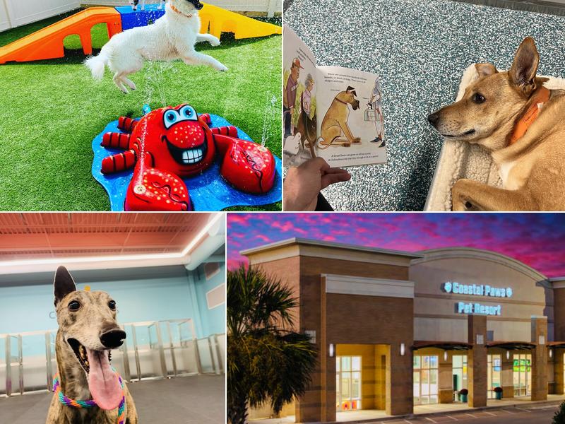 Coastal Paws Pet Resort