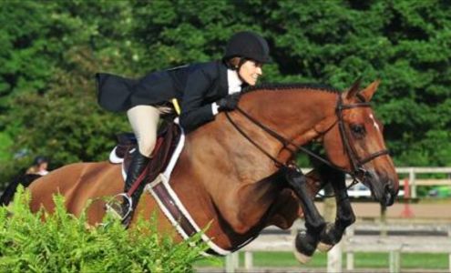 Hunters Court Stable Mount Pleasant