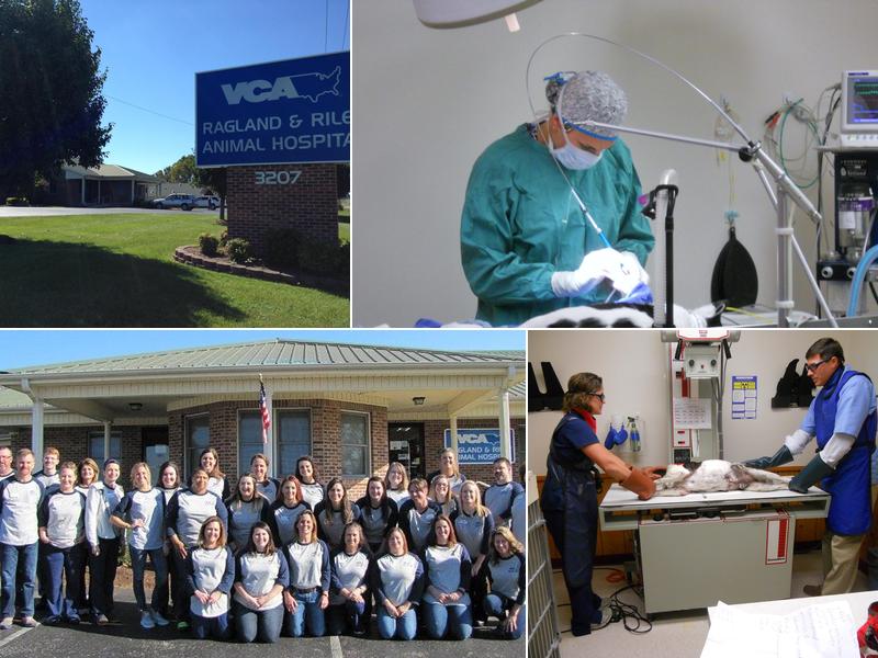 VCA Creature Comforts Pet Retreat