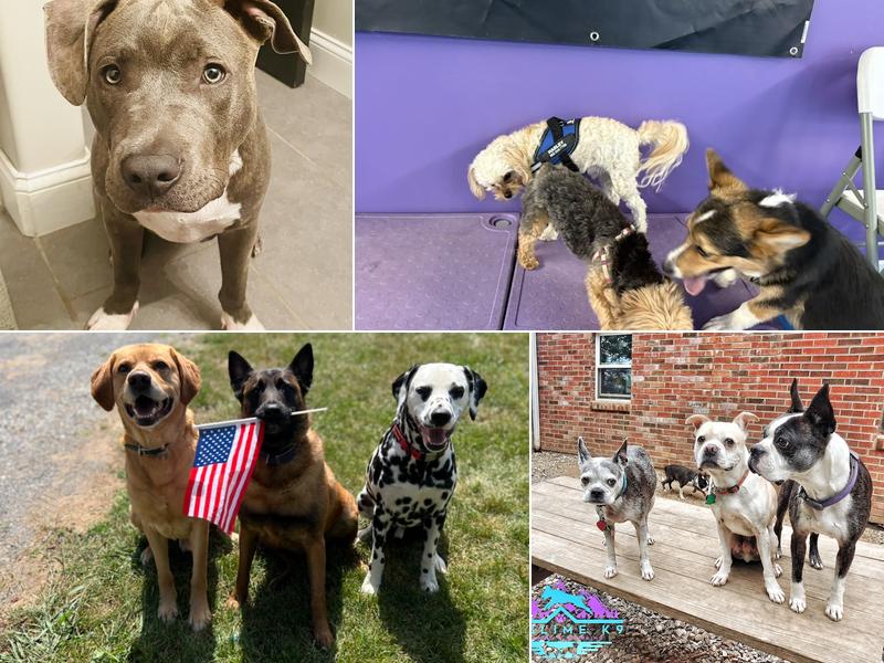 Sublime K9 Training & Boarding, LLC