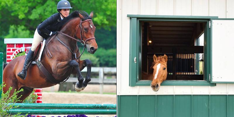 Ashva Equestrian, LLC