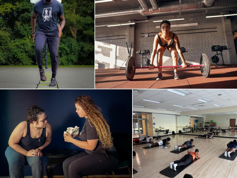 Rooted Physio and Performance