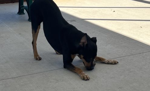 Simpson County Animal Shelter