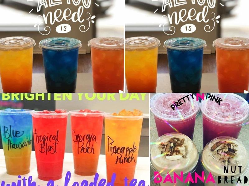 Shear Nutrition 8546 TN-22, Dresden