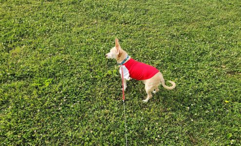 Frederick County Humane Society