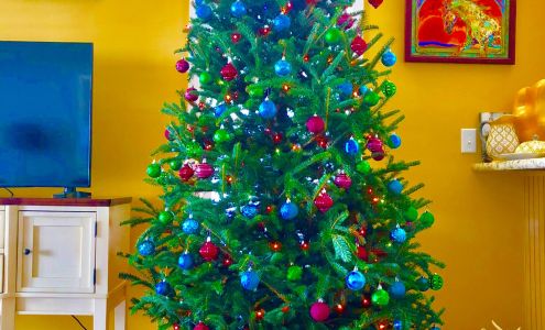 Tropical Island Nursery