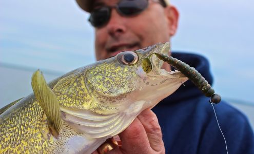 Charlie Brewer's Slider Co. Inc.